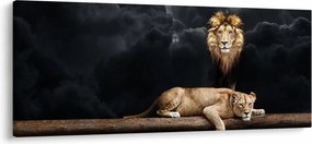 Tablou - Leu și leoaică (120x50 cm)