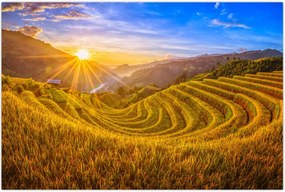 Tablou - Terasele de orez din Vietnam (90x60 cm)