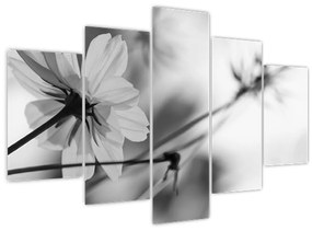 Tablou - Flori alb-negru (150x105 cm)