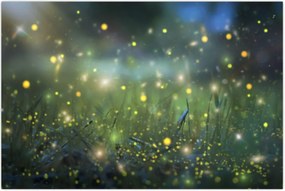 Tablou - Noapte fermecată (90x60 cm)