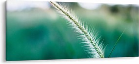 Tablou cu fir de iarbă (120x50 cm)