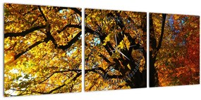 Tablou cu copac toamna (cu ceas) (90x30 cm)
