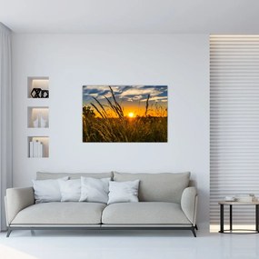 Tablou cu câmp în apus de soare (90x60 cm)