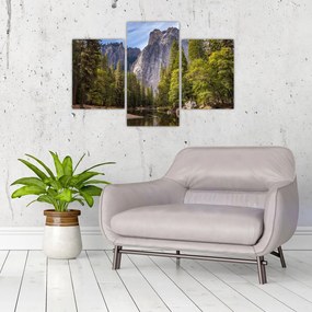 Tablou - Sub Piatra Yosemite (90x60 cm)