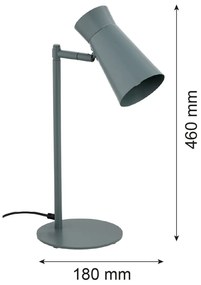Lampa cu spot directionabil LORD 8872 salvie