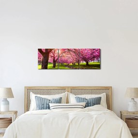 Tablou - Cireși înfloriți, Hurd Park, Dover, New Jersey (cu ceas) (90x30 cm)