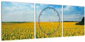 Tablou - câmp cu floarea soarelui (cu ceas) (90x30 cm)