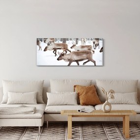 Tablou - Renul (120x50 cm)