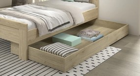 SAM DRAWER OAK
