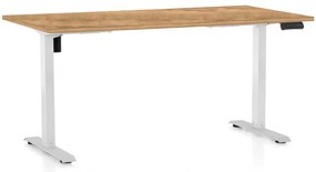 Masă înălțime reglabilă OfficeTech B, 160 x 80 cm, picioare albe, stejar auriu
