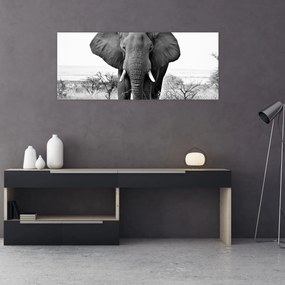 Tablou - Elefantul african II. (120x50 cm)