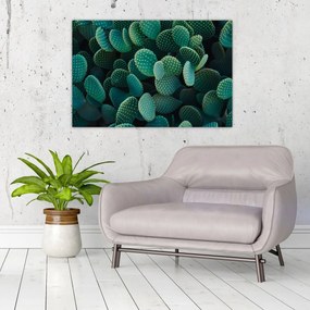 Tablou - Opuntia (90x60 cm)