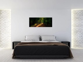 Tablou cu poteca prin pădure (120x50 cm)
