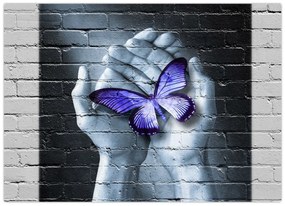 Tablou pe sticlă - Fluture violet pe perete (70x50 cm)