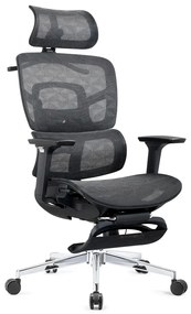 GENESIS-V5 Scaun ergonomic, Full Mesh, Sezut Translatie, Spatar reglabil in inaltime, Cotiere 3D, Umeras, Suport picioare, Negru