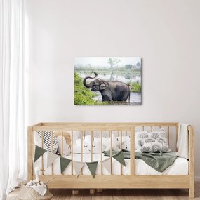 Tablou - Elefant de scăldat (70x50 cm)