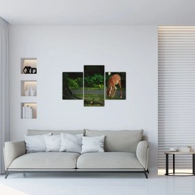 Tablou cu pui de cerb (90x60 cm)