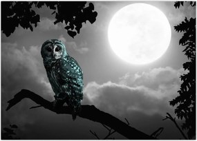 Tablou - Bufniță de noapte, albastru (70x50 cm)