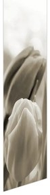Fotojaluzele R012126R42150 (42x150 cm)