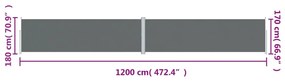 Copertina laterala retractabila, antracit, 180x1200 cm Antracit, 180 x 1200 cm