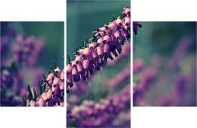 Tablou cu floare violetă (90x60 cm)