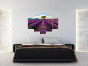 Tablou - Câmp de lavandă (150x105 cm)