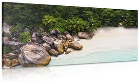 Tablou coastă Seychelles