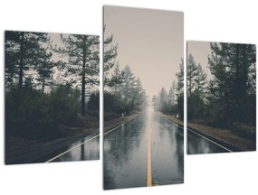 Tablou - Drum în ploaie (90x60 cm)