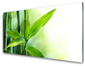 Tablouri acrilice Bamboo Canes Floral Verde