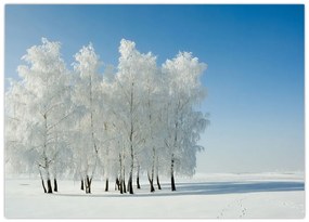 Tablou pe sticlă - Peisaj înzăpezit (70x50 cm)