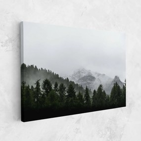 Tablou Canvas, 90x140cm, Dormitor si Living, Peisaje, Paduri, Foggy Mountain Forest