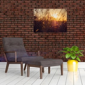 Tablou - Câmp la apus de soare (70x50 cm)