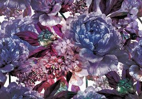 Fototapet - Flori violete (254x184 cm)
