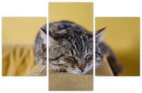 Tablou cu pisica pe fotoliu (90x60 cm)