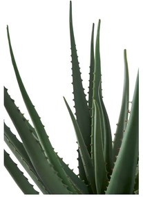 Plantă artificială (înălțime 51 cm) Aloe Vera – House Nordic