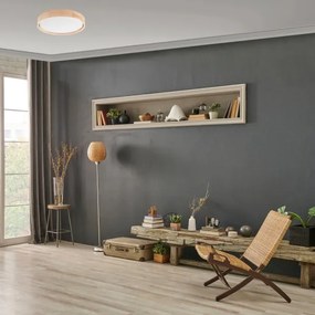 Brilagi - Plafonieră LED reglabilă MANAROLA LED/24W/230V + telecomandă