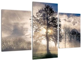 Tablou cu copac în ceață (90x60 cm)