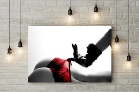Tablou canvas Red Panties 120x80 cm