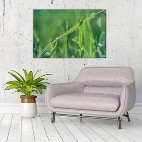 Tablou cu picături de rouă (90x60 cm)