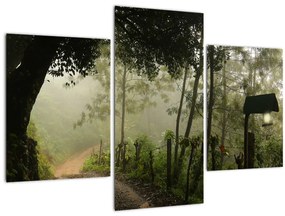 Tablou cu ceața de dimineața (90x60 cm)