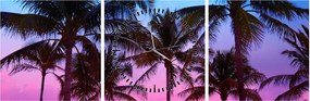 Tablou - Palmieri din Miami (cu ceas) (90x30 cm)
