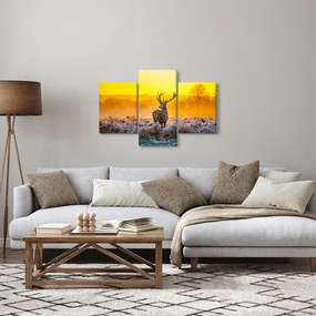 Tablou - Cerb la răsăritul soarelui (90x60 cm)