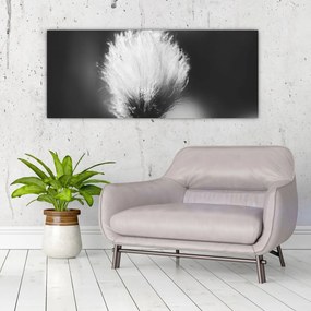Tablou - Coțofană neagră și albă (120x50 cm)