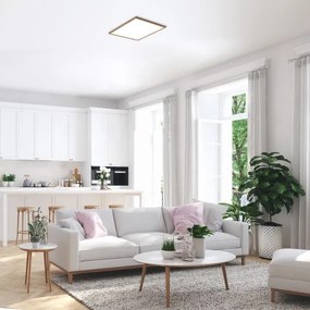 Panou LED aplicat ALMOND LED/40W/230V 4000K Rabalux 6908