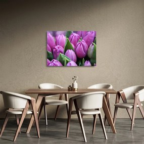 Tablou pe sticlă - florile lalelelor (70x50 cm)