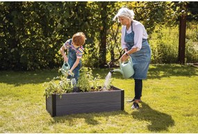 Pat ridicat de plante Maple – Keter