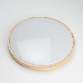 Brilagi - Plafonier LED reglabil PINE LED/24W/230V + telecomandă