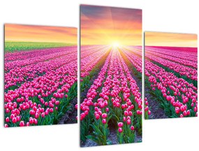 Tablou cu câmp de lalele cu soare (90x60 cm)