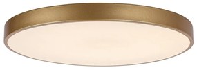 Rabalux 71038 -LED Plafonieră LED dimabilă TESIA LED/60W/230V 3000-6000K+telecomandă