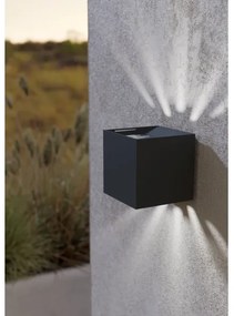 Aplică LED de exterior CALPINO 2xLED/3,3W/230V IP54 Eglo 900445